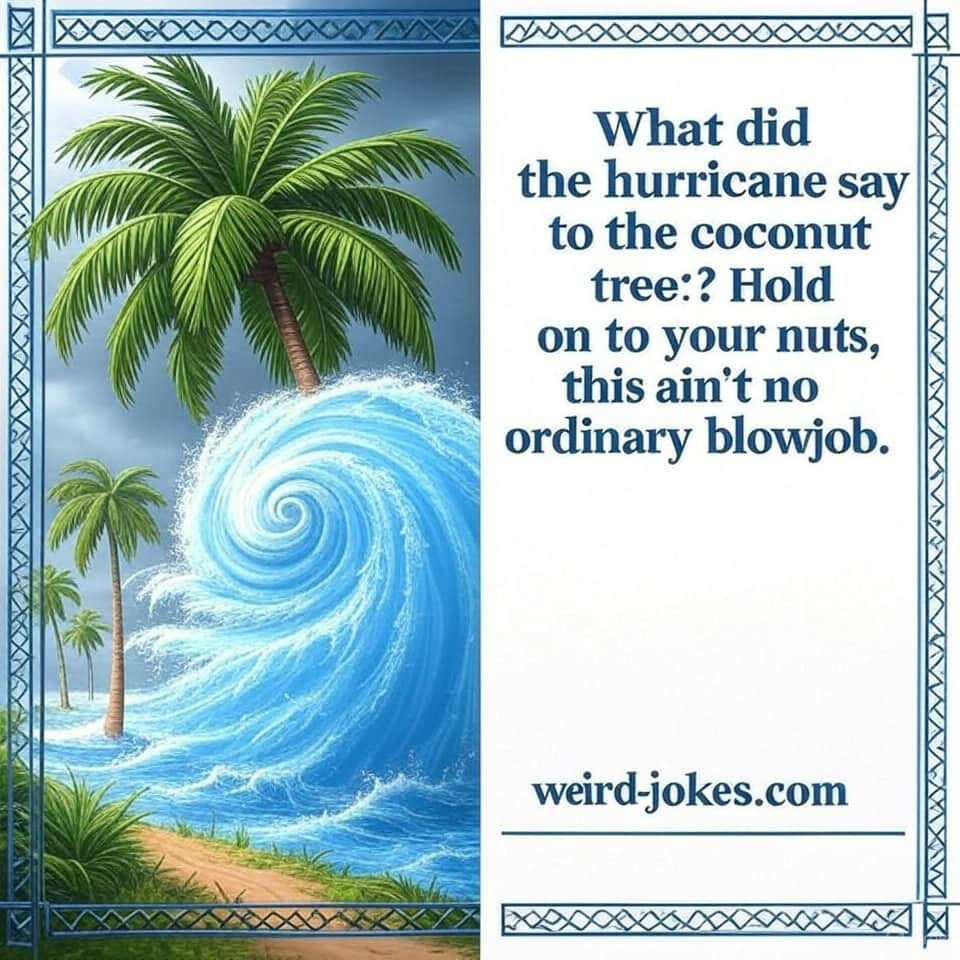 What did the hurricane say to the coconut tree? Hold on to your nuts, this ain't no ordinary blowjob.