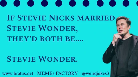 If Stevie Nicks married Stevie Wonder, they’d both be…. Stevie Wonder.