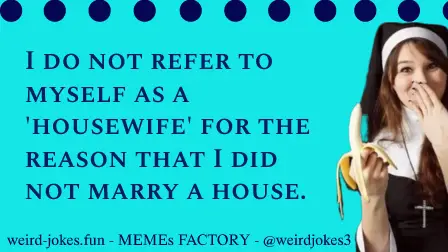 HOUSEWIFE jokes collection.