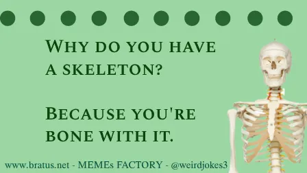 Why do you have a skeleton? Because you're bone with it.